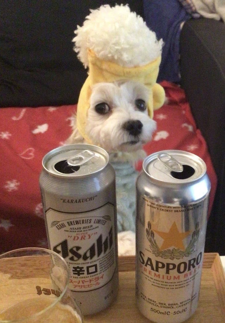 画像20