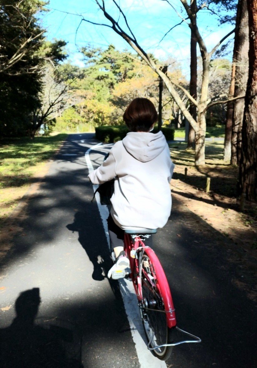 茨城旅行【ひたち海浜公園編】｜Rie｜note