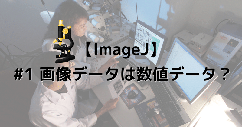 【ImageJ】画像データは数値データ？