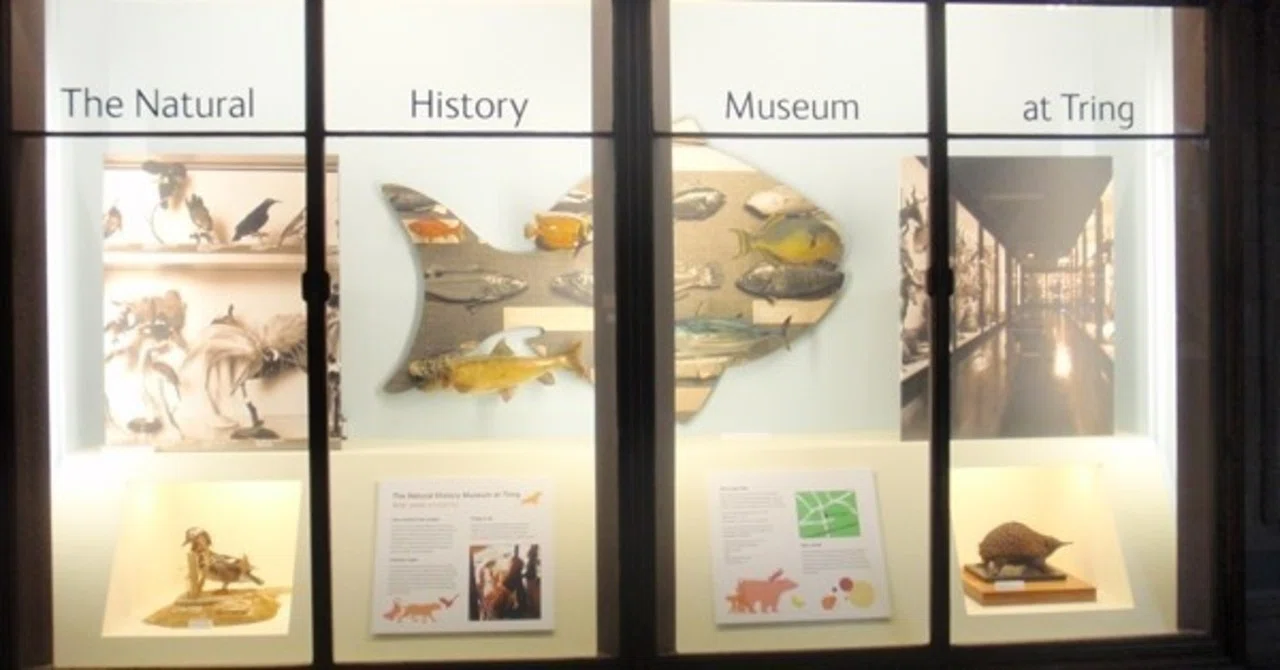 大英自然史博物館：Natural History Museum（ナチュラルヒストリー