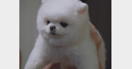 投資の対価 はまだ Note