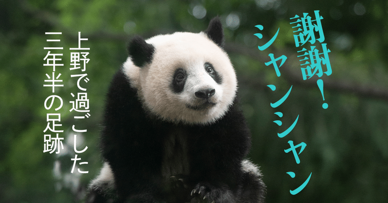 謝謝 シャンシャン 上野で過ごした3年半の足跡 文藝春秋digital
