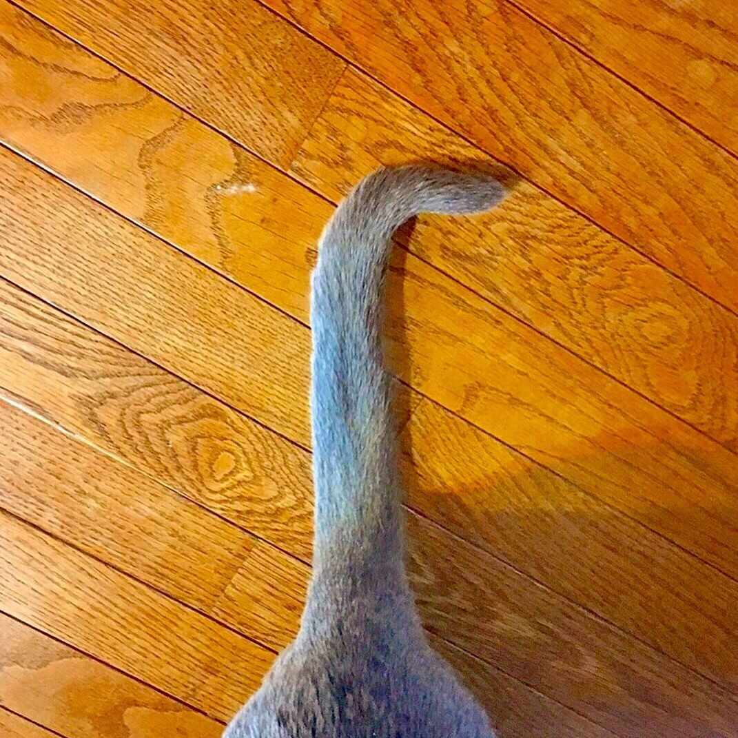 日野笙 / Sou Hino