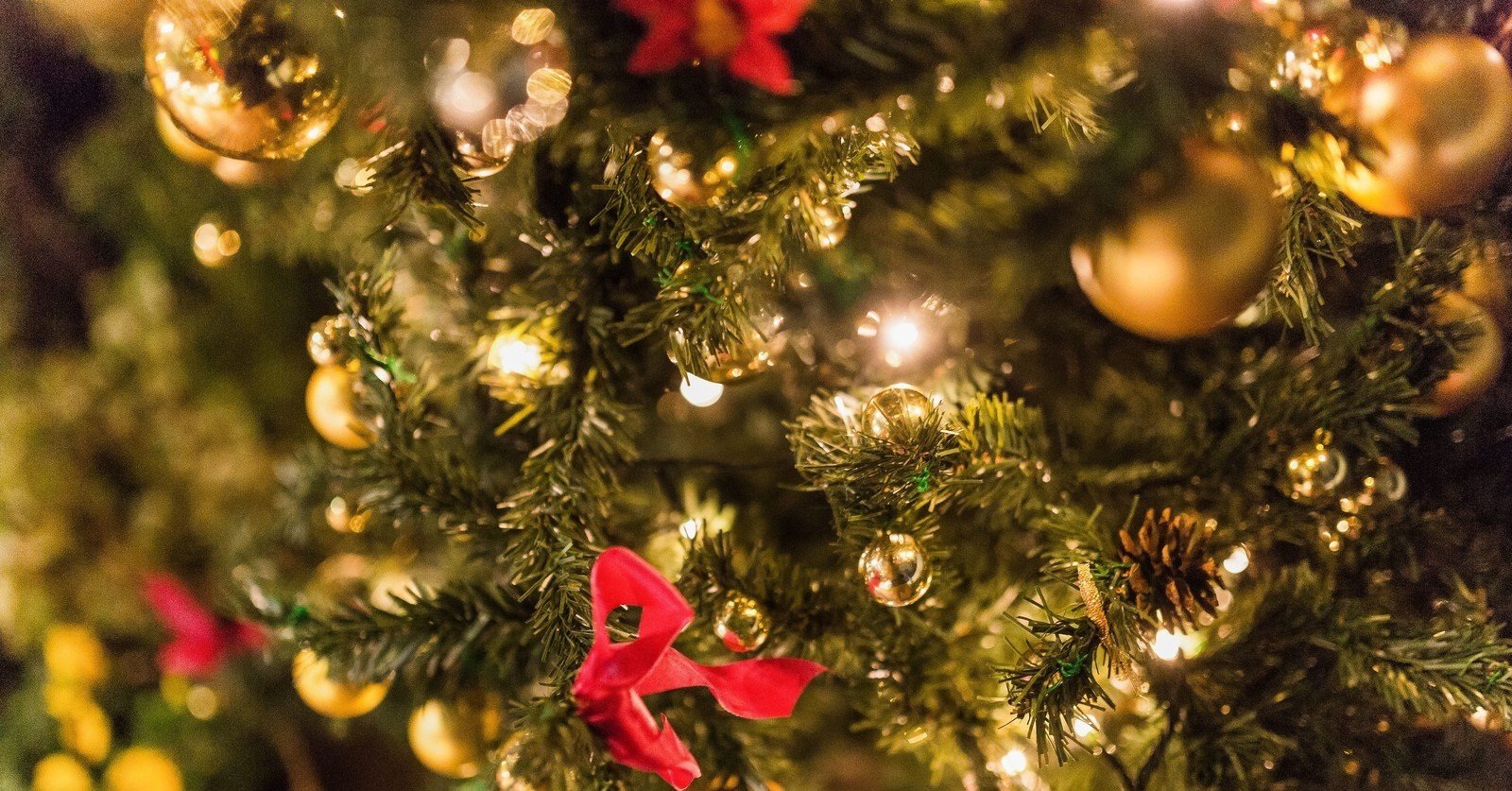 クリスマス休暇のお知らせ Beograd Consulting Group公式 Note