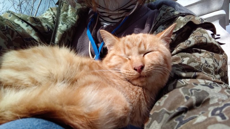 冬のせいにして温めあおう の新着タグ記事一覧 Note つくる つながる とどける