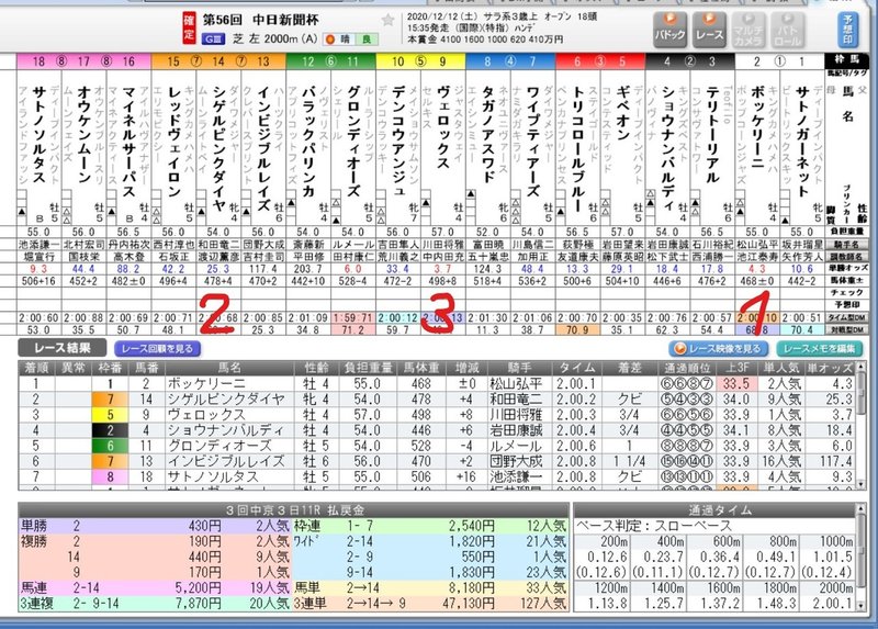 中日新聞杯　レース結果