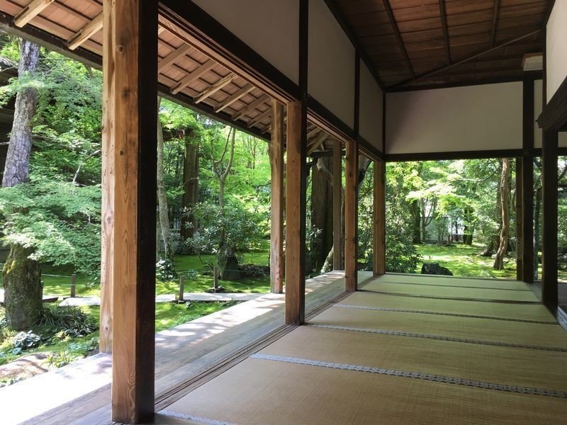 美しい緑の世界は静寂の世界だった」 京都 蓮華寺|ねじり 美しい緑の世界は静寂の世界だった」 京都 蓮華寺|ねじり