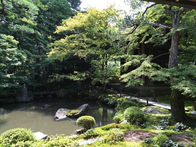 美しい緑の世界は静寂の世界だった」 京都 蓮華寺|ねじり 美しい緑の世界は静寂の世界だった」 京都 蓮華寺|ねじり