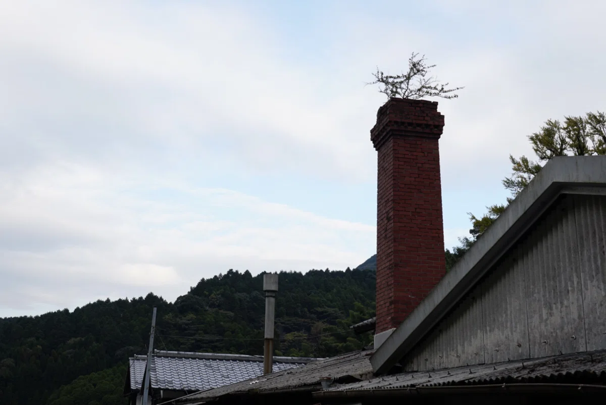画像16