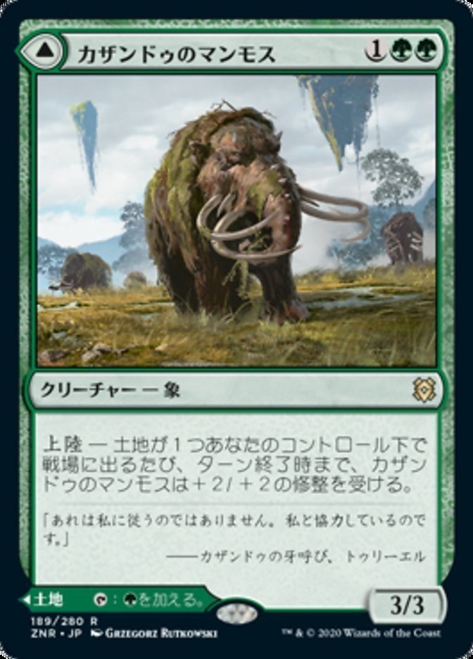画像18