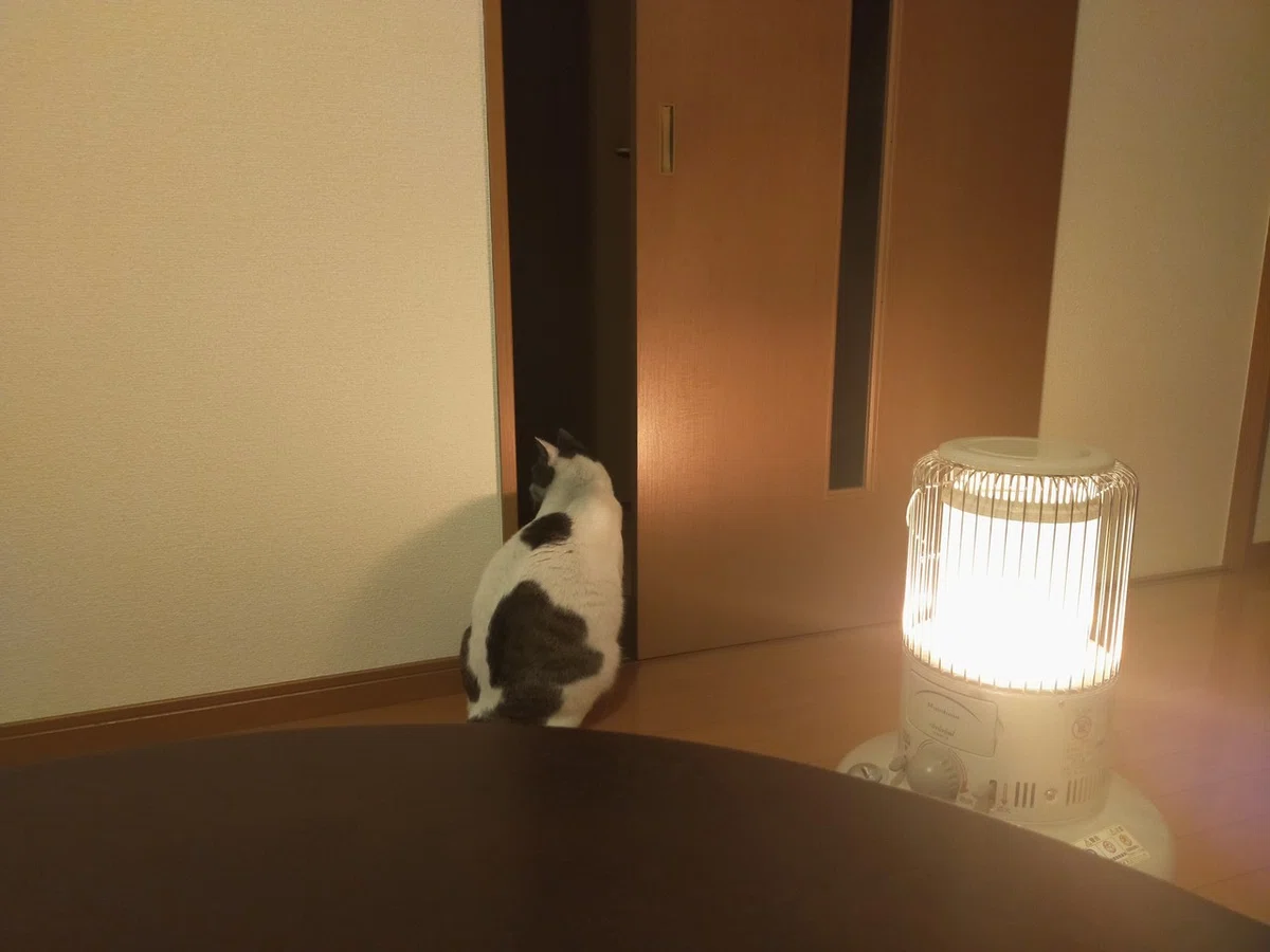 画像1