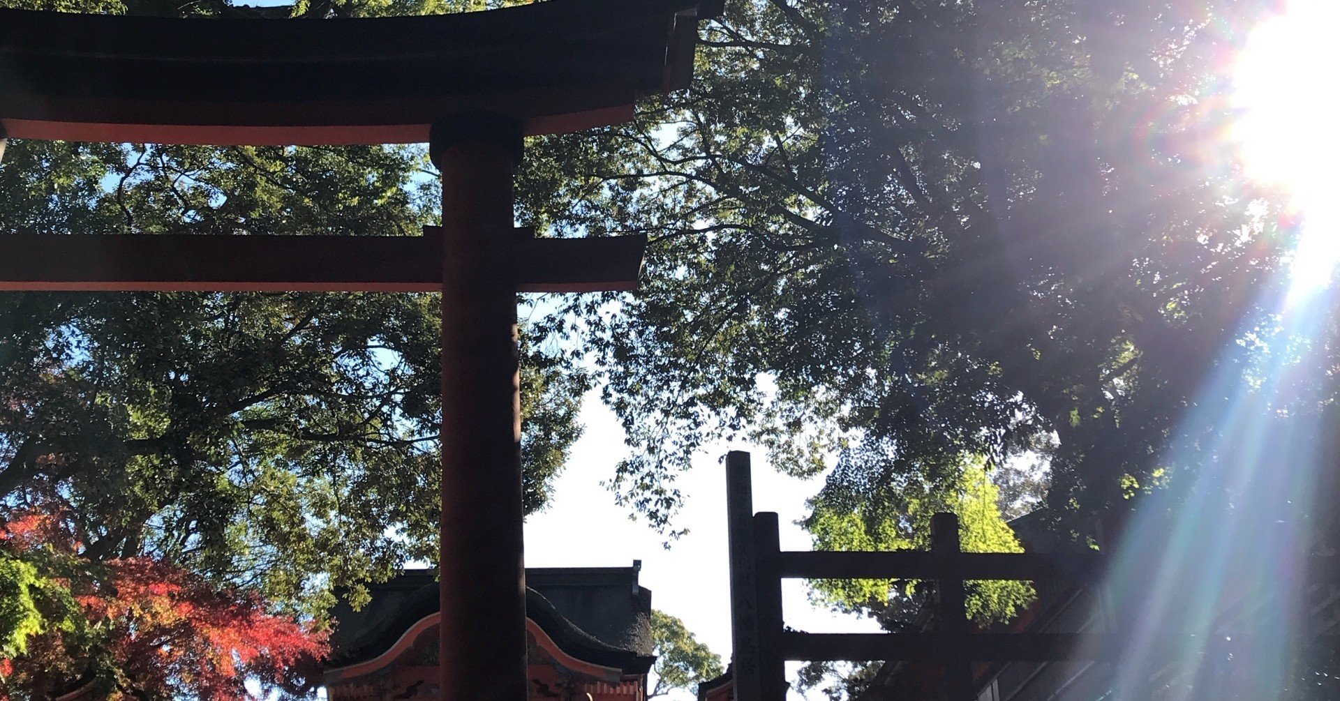 不思議な写真が撮れたときには。｜たかせあやこ＠目に見えない世界の 