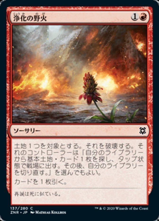 画像29