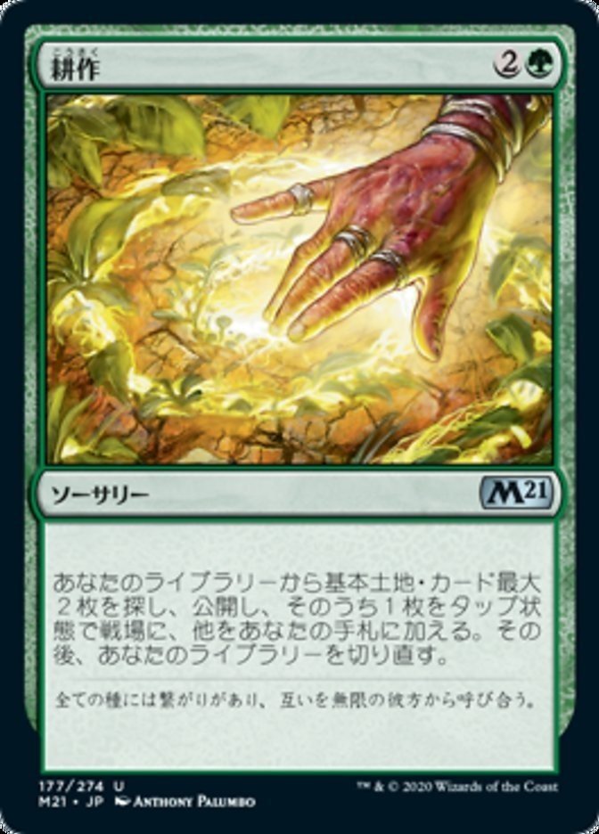 画像33