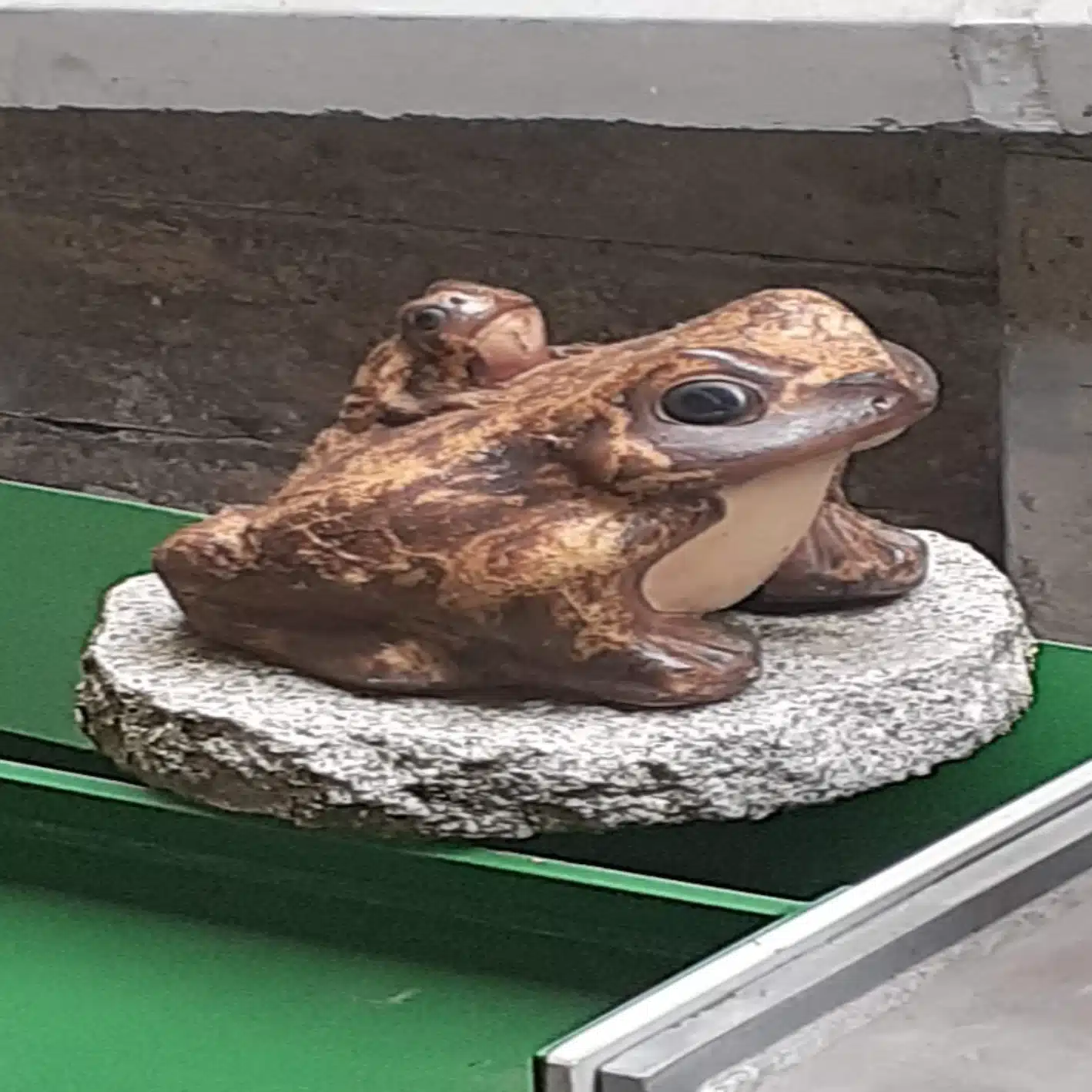 こずえ