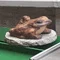 こずえ