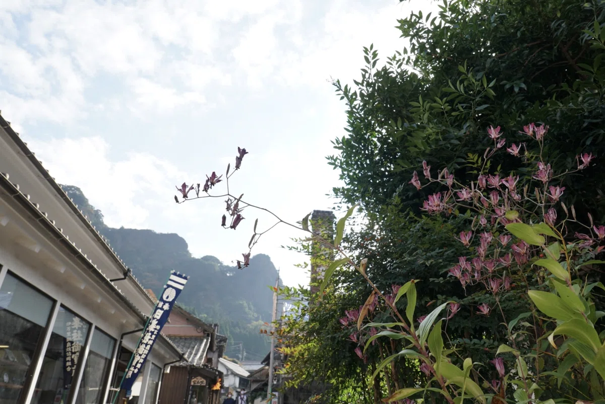 画像15