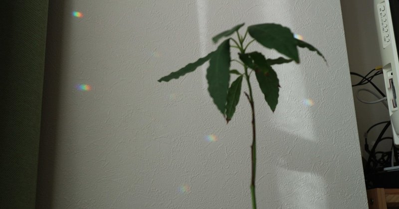 一生自信はつかないっていう自信がついた Haru Note