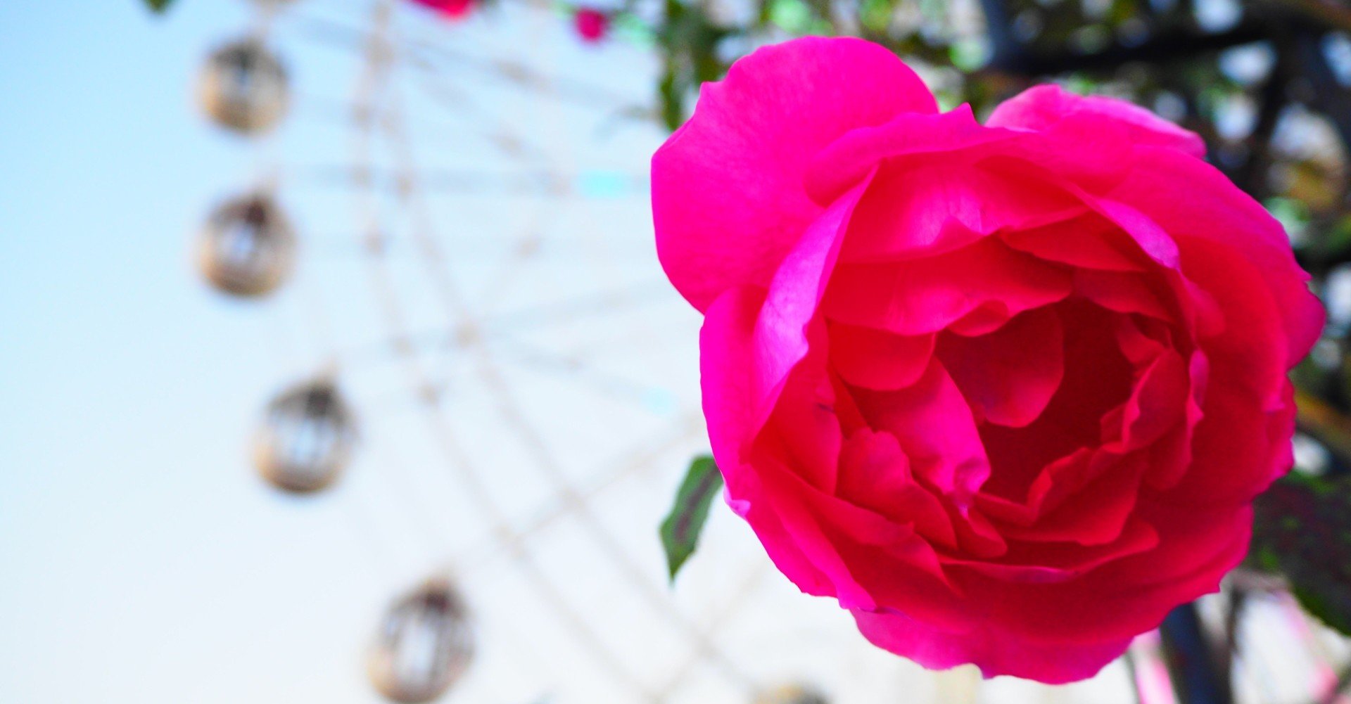 あなた By 宮本浩次 が切ないよ 色々な意味で みぽりん Note