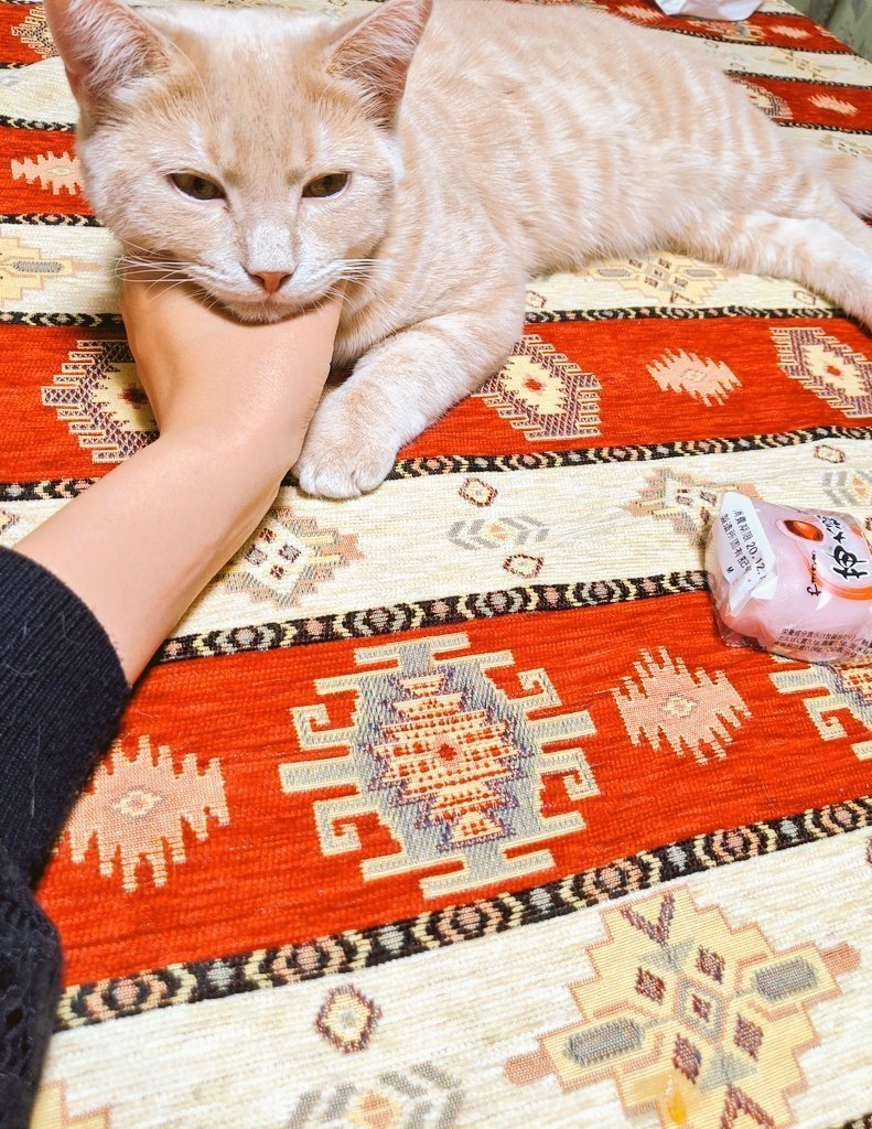 毎日note330日目】急に寒くなった。猛烈な胃のムカムカと闘う1日だった 