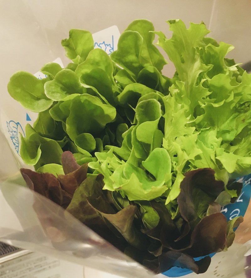 サラダ野菜 便利なもの見つけました ぽこぽこ 子育ての楽しさを伝える人 Note サラダ野菜 便利なもの見つけました ぽこぽこ 子育ての楽しさを伝える人 Note
