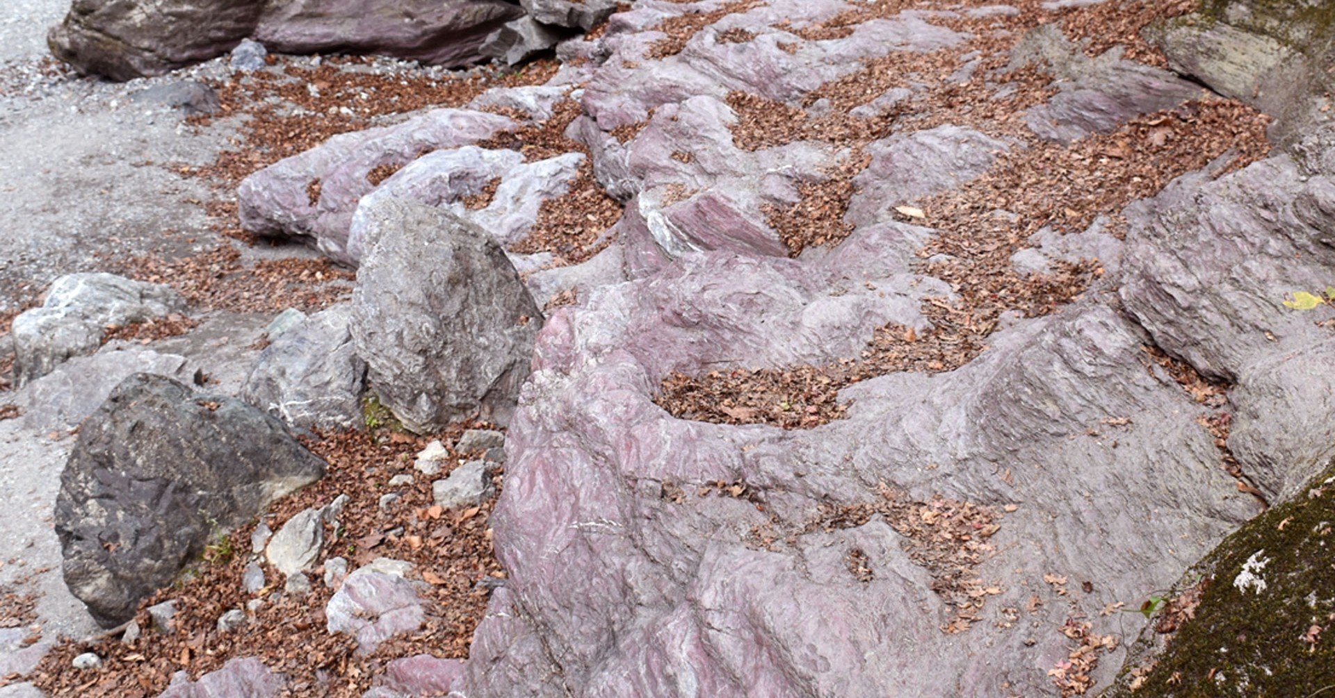 中津渓谷 ② ピンクの岩｜森高 一葉