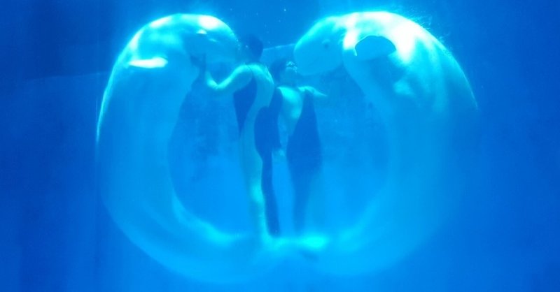 技を覚える 思い出す Juzen Note