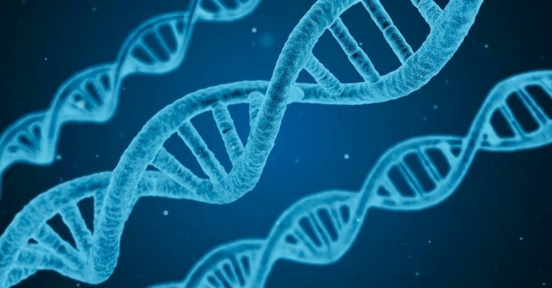 技術革新の可能性とは 向山雄治 yuji mukaiyama note