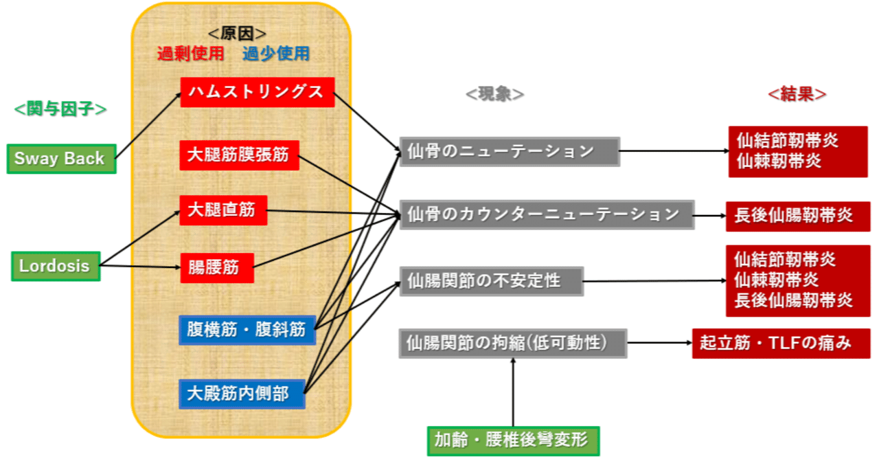 腰部・骨盤帯 第17回 《仙腸関節障害 治療編》｜上田浩司（理学