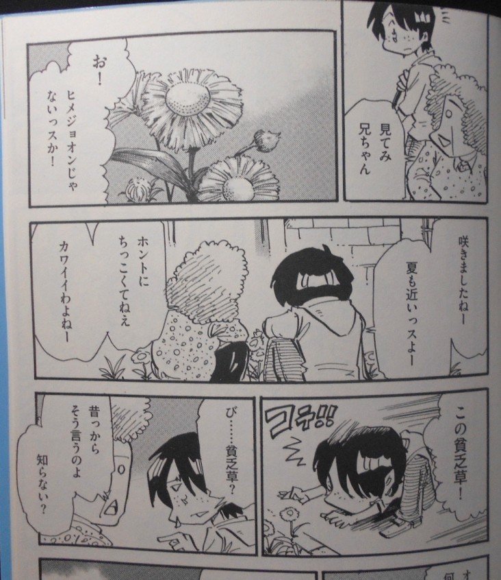 妄想 ヒメジョオン 梅熊大介 Note