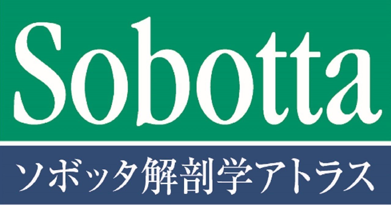 あのソボッタが帰ってきた いち編集部のリアル Note あのソボッタが帰ってきた いち編集部のリアル Note