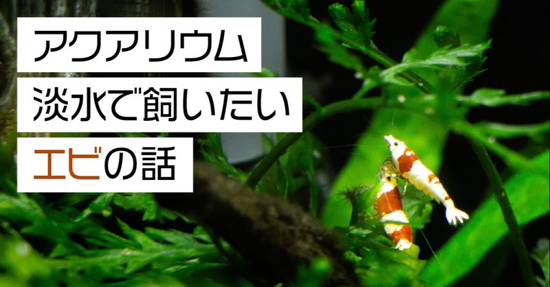 アクアリウム 淡水で飼いたいエビの話 Nide Inc 株式会社ニード Note アクアリウム 淡水で飼いたいエビの話 Nide Inc 株式会社ニード Note