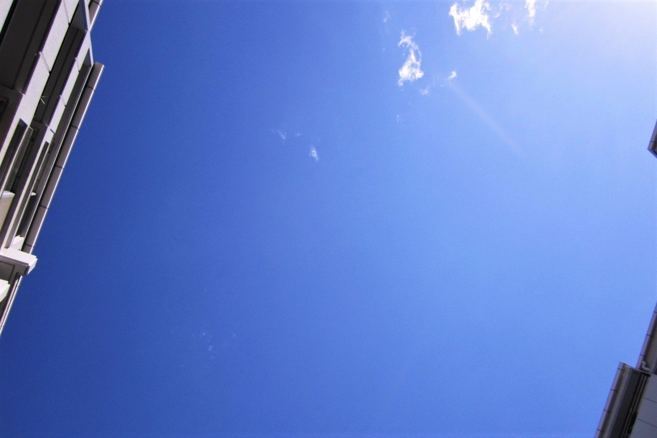 12月もいよいよ後半 来週まで仕事が忙しいのは ありがたい限りです 今日の昼 庭から空を見上げたら まさに碧空でした 写真 主よ あなたの慈しみは天に あなたの真実は大空に満ちている 詩編36 真帆 沁 Mahoshin 文筆家 Note 12月もいよいよ後半 来週まで仕事が忙しいのは ありがたい限りです 今日の昼 庭から空を見上げたら まさに碧空でした 写真 主よ あなたの慈しみは天に あなたの真実は大空に満ちている 詩編36 真帆 沁 Mahoshin 文筆家 Note