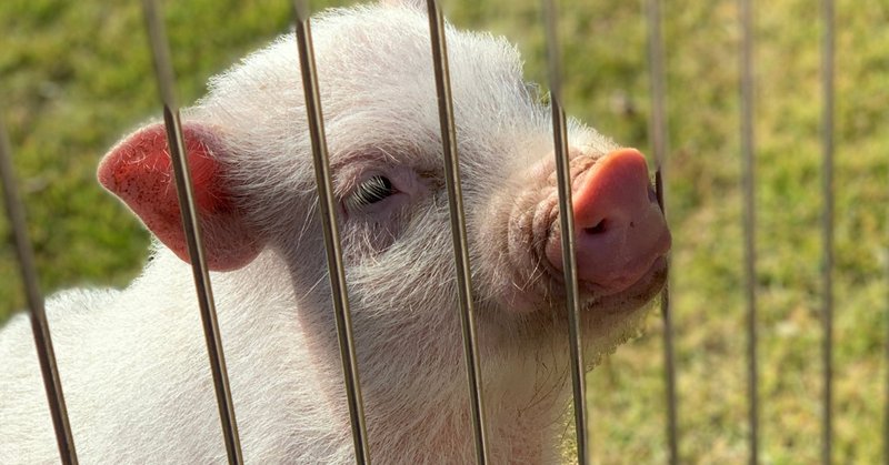 映画週末動員数ランキング12月2週目のアニメ映画動向レポート ジブリリバイバル上映の興行収入上乗せの闇 ネジムラ89 note