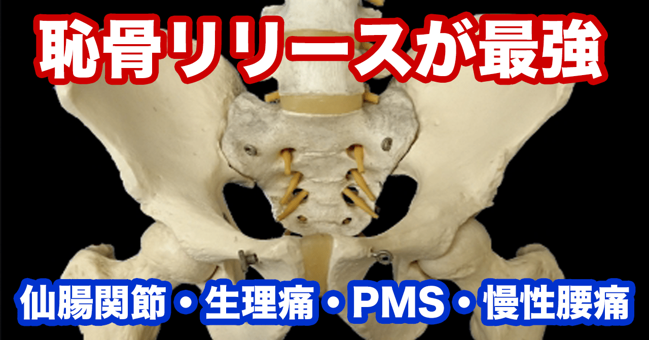 恥骨リリースで腰痛 股関節痛を解消できる 山口拓也 Allアプローチ協会 治療技術セミナー代表 Note