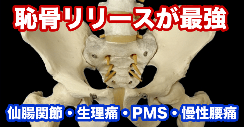 恥骨リリースで腰痛 股関節痛を解消できる 一般社団法人allアプローチ協会 理学療法士 作業療法士 柔道整復師の治療セミナー Note