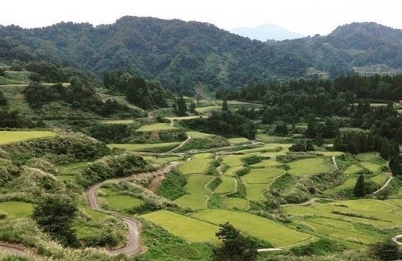 新潟県十日町市に移住した松山望さんのlocal Match Story 地域の方が協力しあう姿が忘れられず 移住しゲストハウスを運営 Lifull 地方創生 Note