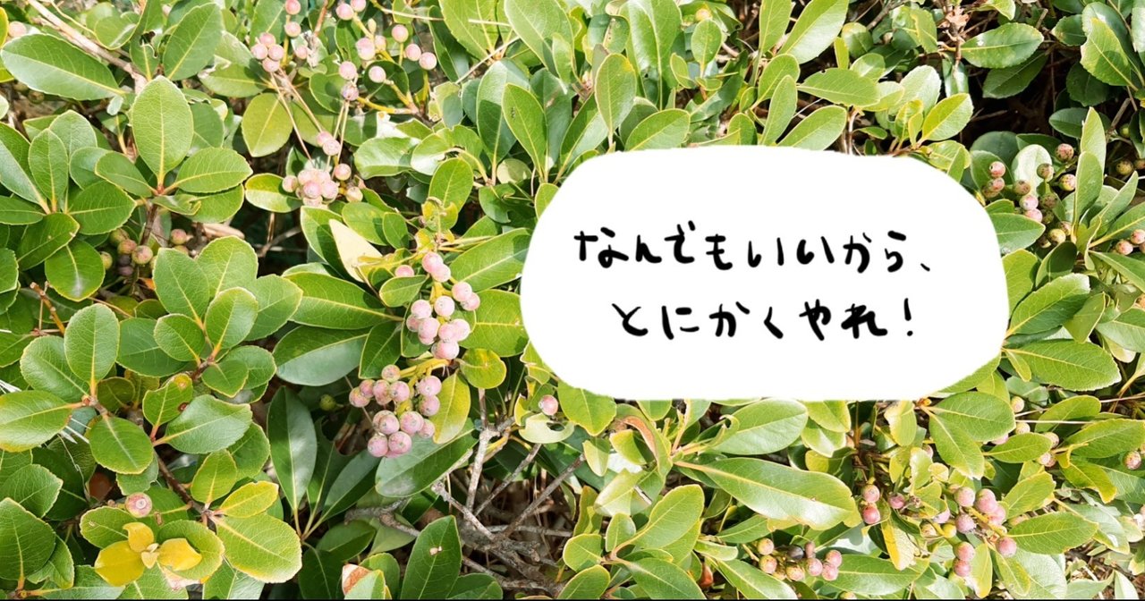 なんでも良いから とにかく植えろ れここ Note