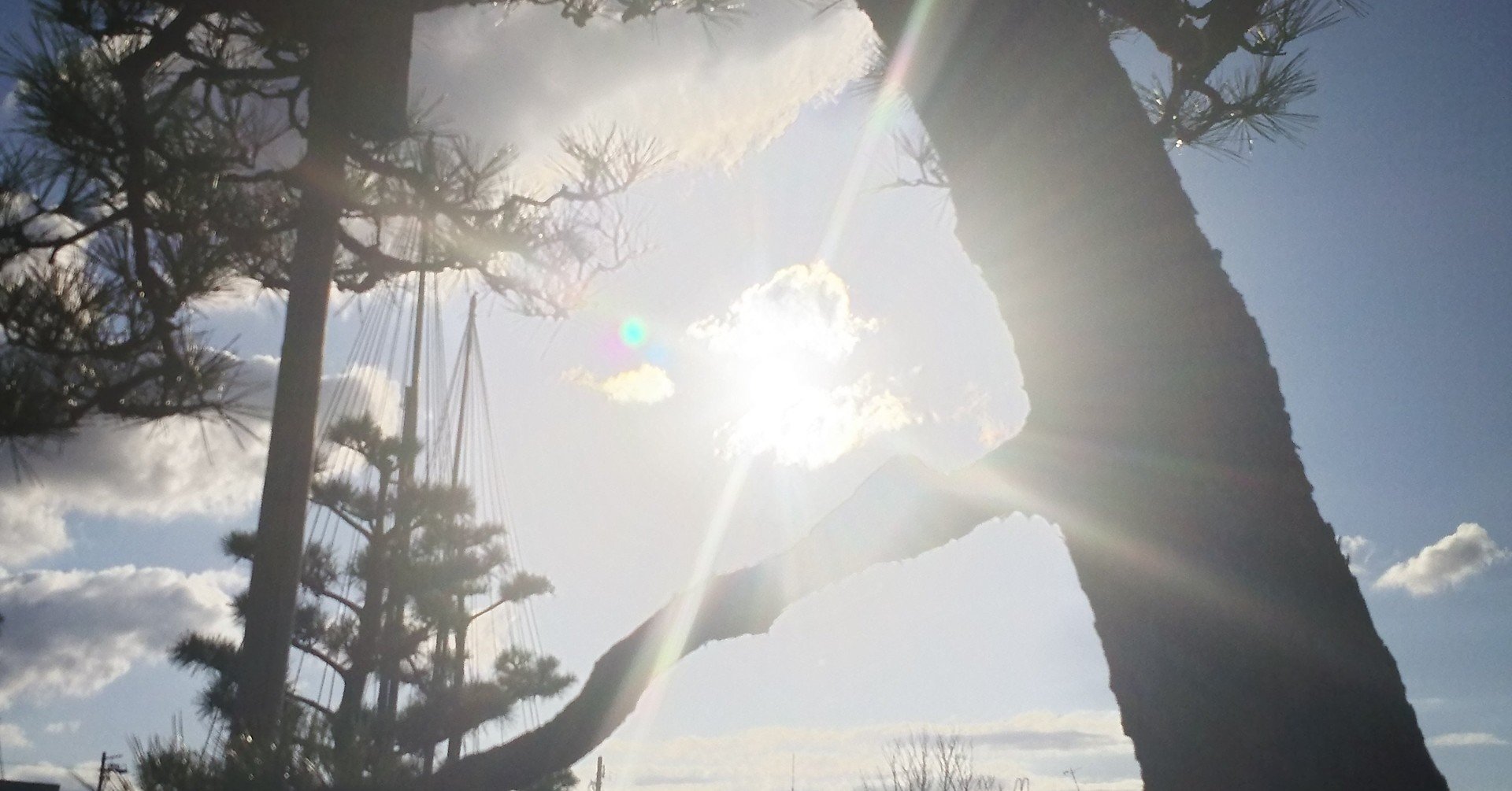 なべて世はこともなし 朝霧瑛太 Note