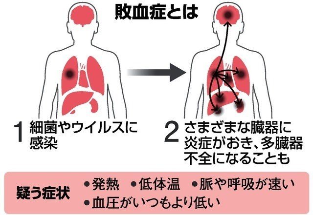 画像39