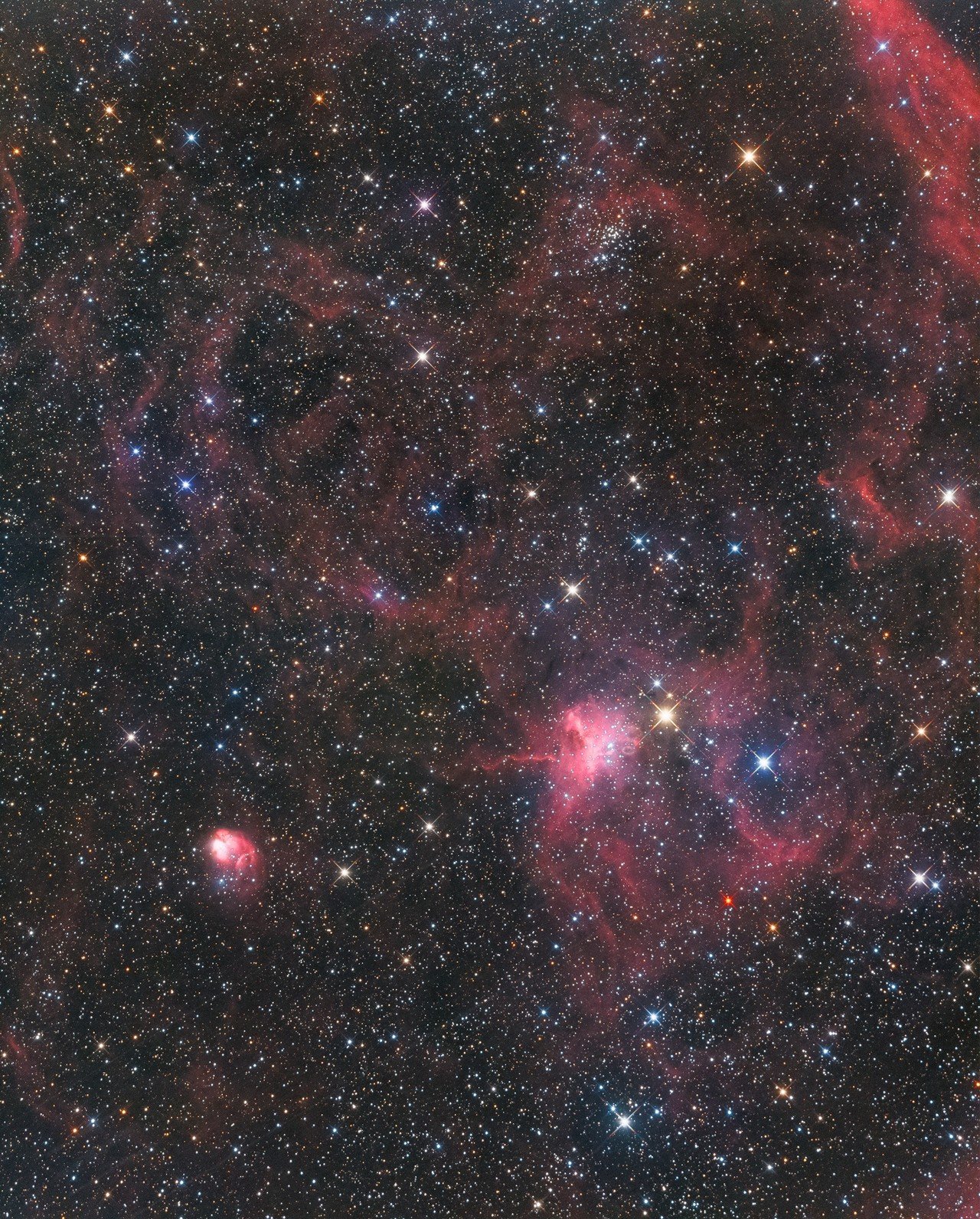 星影 様 61IC4roxd-L._UF350,350_QL80_.jpg