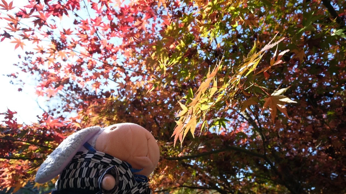 画像32