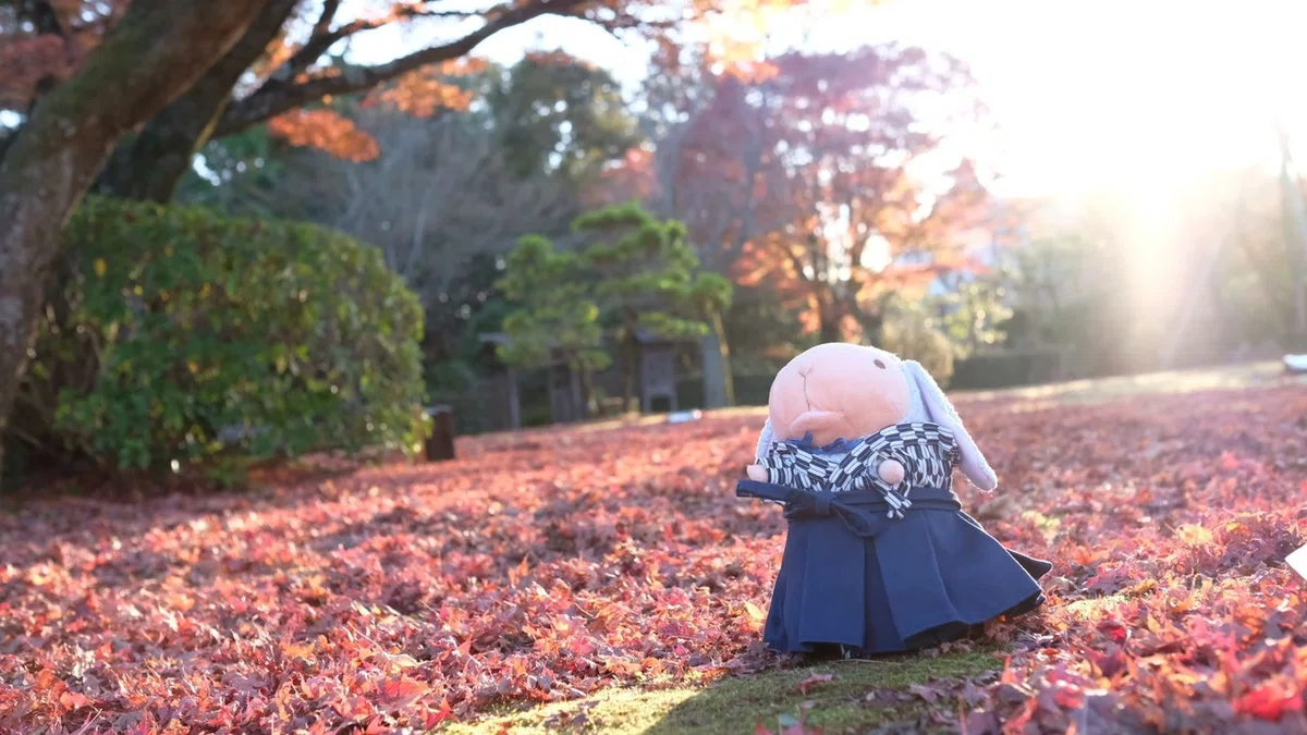 画像50