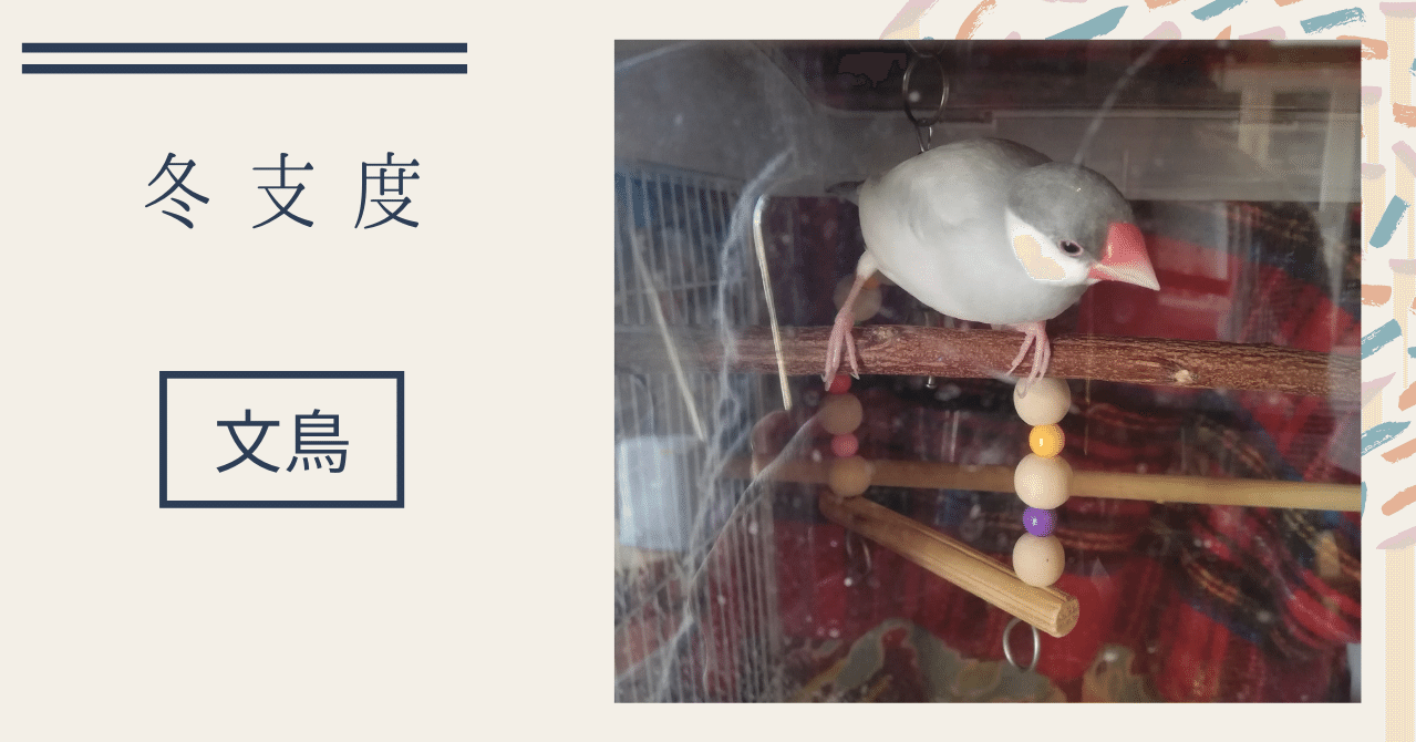 文鳥の防寒対策に電気ひざ掛けのススメ 研究者なてぃ Note 文鳥の防寒対策に電気ひざ掛けのススメ 研究者なてぃ Note