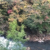 0556 進化論の誤解と遺伝子に見る 生き残りやすさ 坂本宗隆 Note 0556 進化論の誤解と遺伝子に見る 生き残りやすさ 坂本宗隆 Note