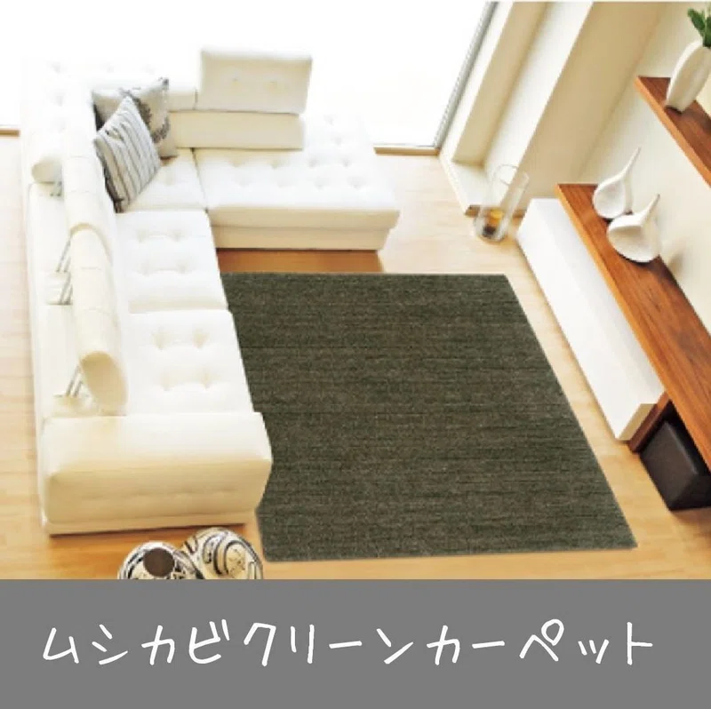 虫カビクリーンカーペット ホームズ札幌 Note
