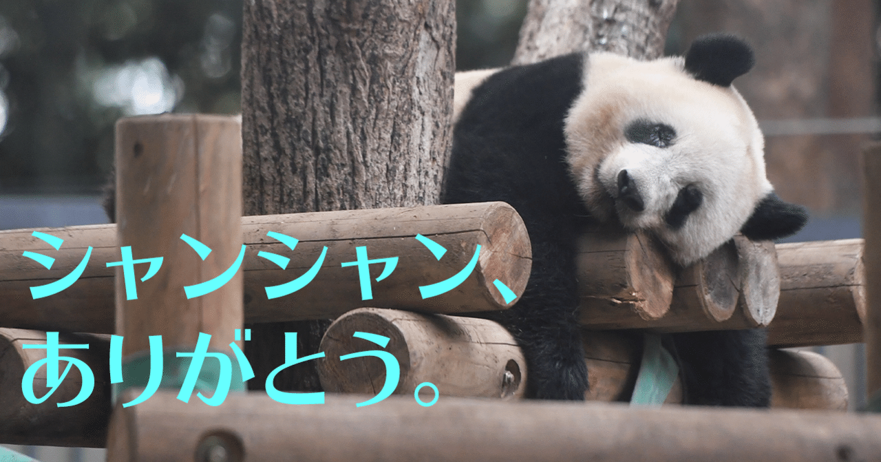 シャンシャン誕生秘話 土居利光 文藝春秋digital