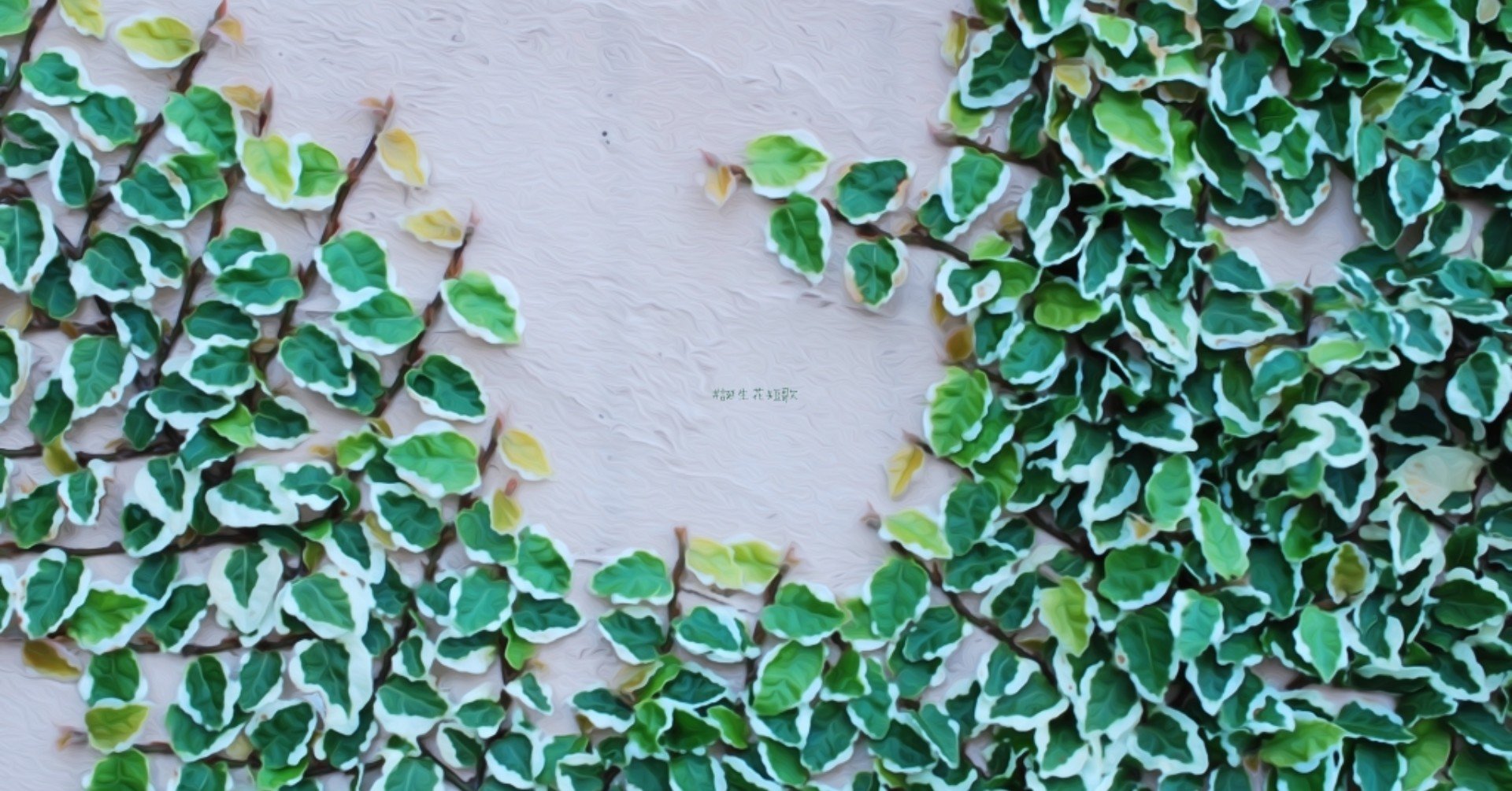 12月16日 誕生花は大崖石榴 誕生花短歌 御子柴 流歌 Note 12月16日 誕生花は大崖石榴 誕生花短歌 御子柴 流歌 Note