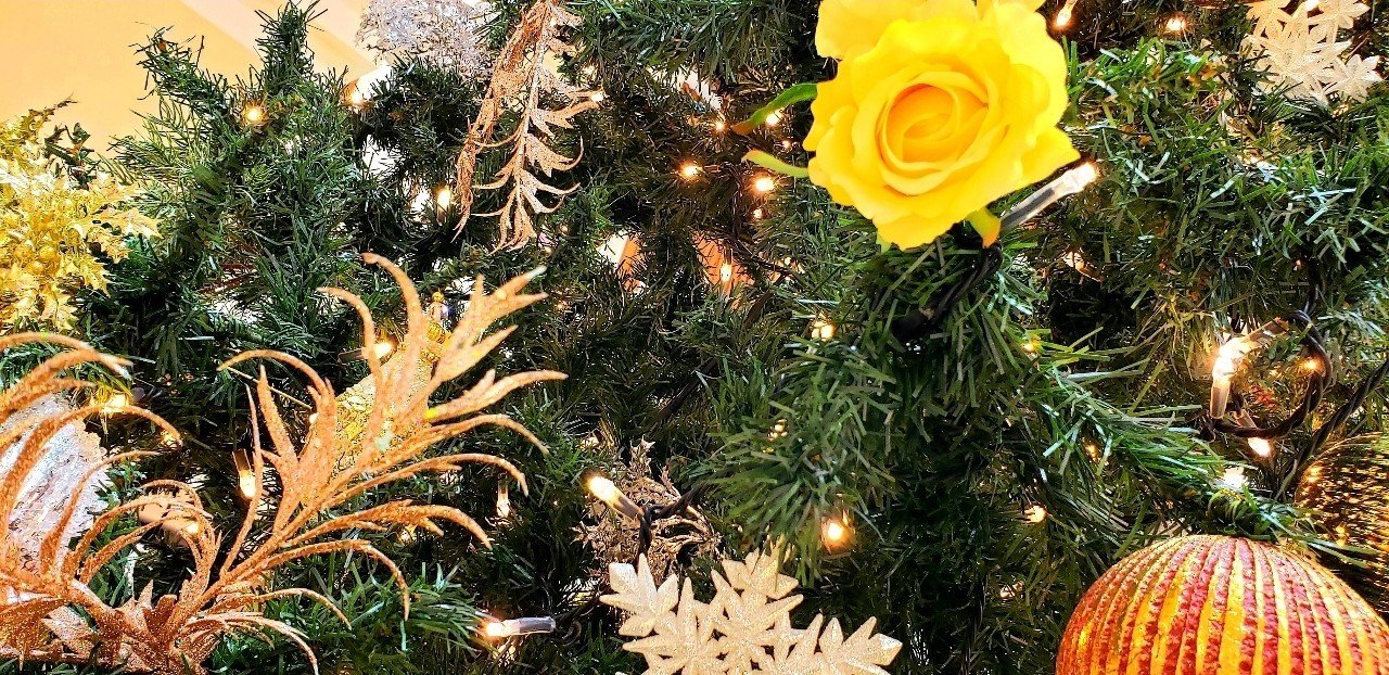 クリスマスの食べもの 由眞 由眞 Note クリスマスの食べもの 由眞 由眞 Note