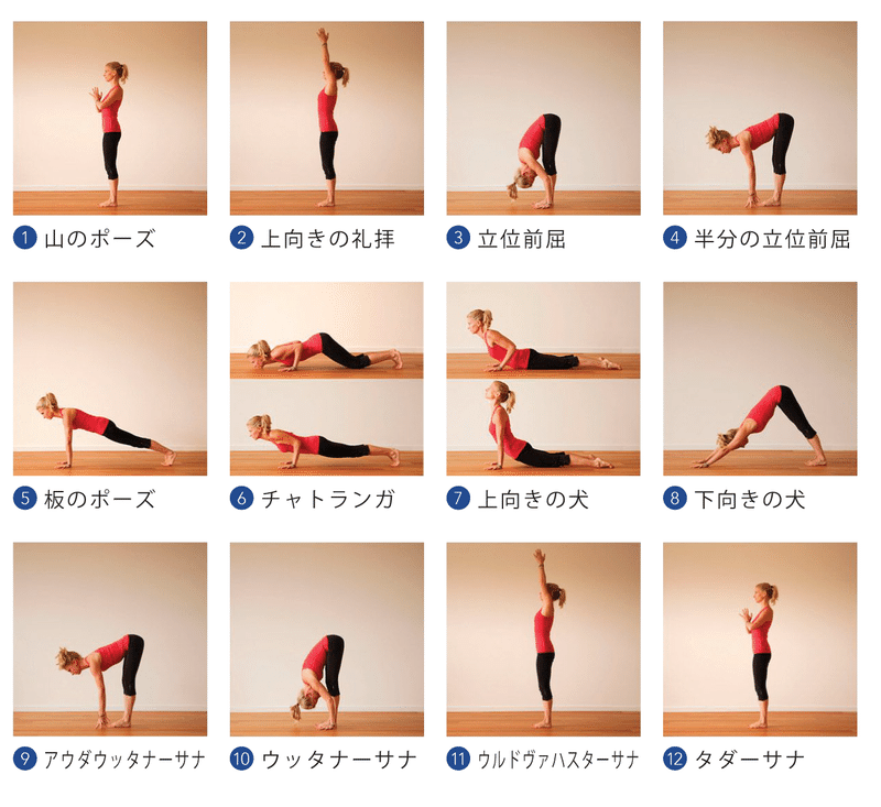 太陽礼拝のポーズ 太陽礼拝のポーズ